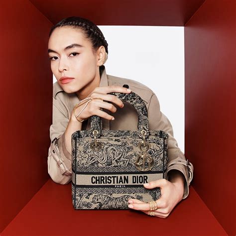 dior sidebag|christian dior bags official site.